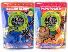 Load image into Gallery viewer, 16oz 2 Pack Gecko Diets