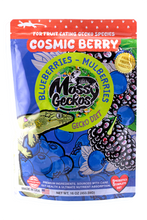 Load image into Gallery viewer, Cosmic Berry Gecko Diet