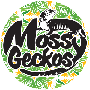 Mossy Geckos