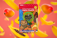 Load image into Gallery viewer, Papa Power Gecko Diet