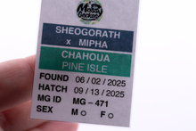 Load image into Gallery viewer, Sheogorath x Mipha Pine Island Chahoua Male (MG-471)
