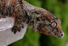 Load image into Gallery viewer, Nebula x Hylia Pine Island Chahoua PI294 Male
