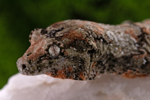 Load image into Gallery viewer, Nebula x Hylia Pine Island Chahoua PI294 Male

