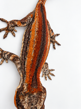 Load image into Gallery viewer, Gargoyle Gecko (MG-566) from Hundson A. X Cocoberry
